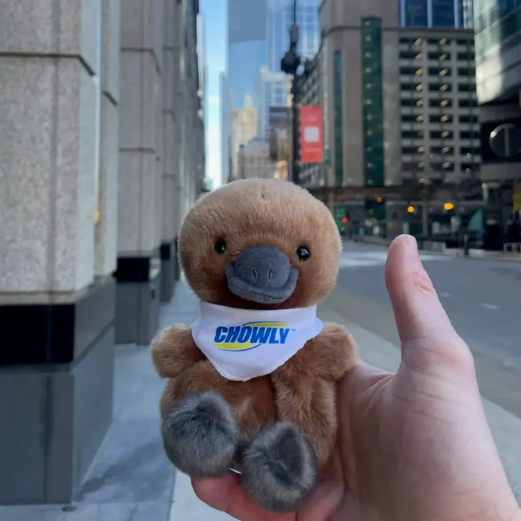 Meet Platty - making their way downtown