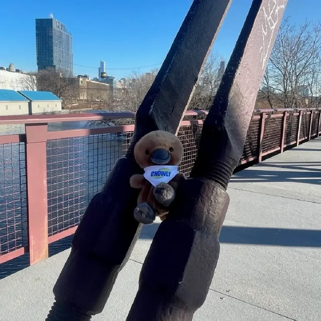 Meet Platty - enjoying the views