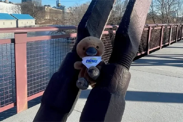 chowly news - does your brand need a mascot